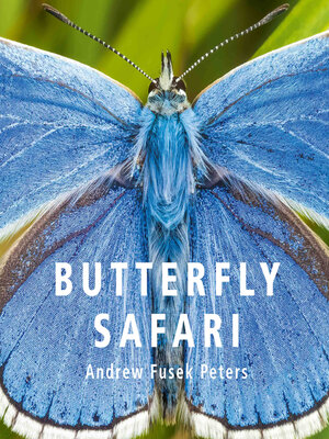 cover image of Butterfly Safari